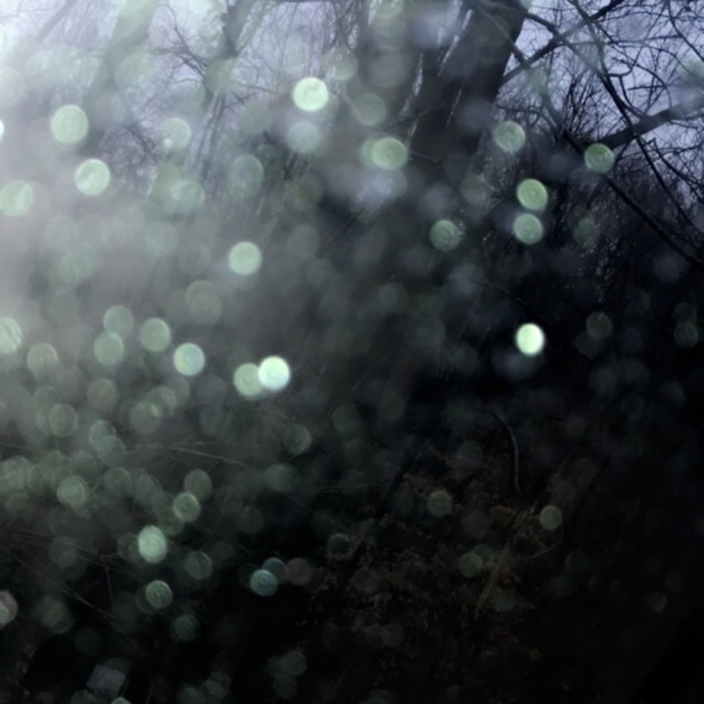 Meet your Posher, Sonya